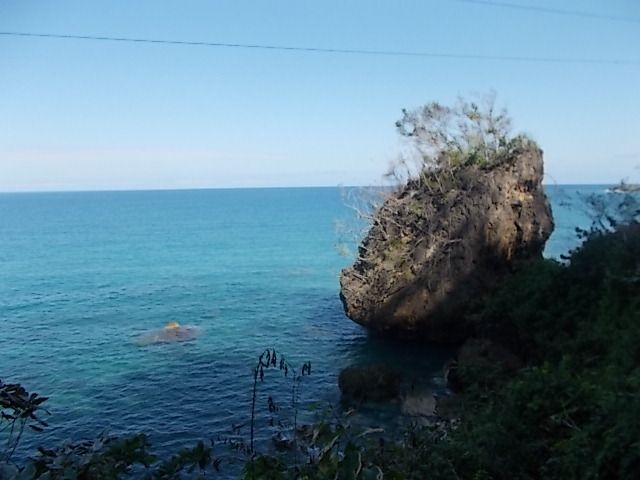 en allant ver s le rio Yumuri, baie Mata, les polymitas, visite exploitation artisanale de cacao