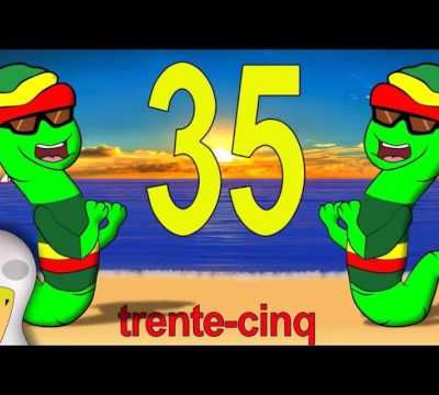 Activité n°8 : Lexique de base avec un site You tube pour les enfants... et les "grands débutants" en français