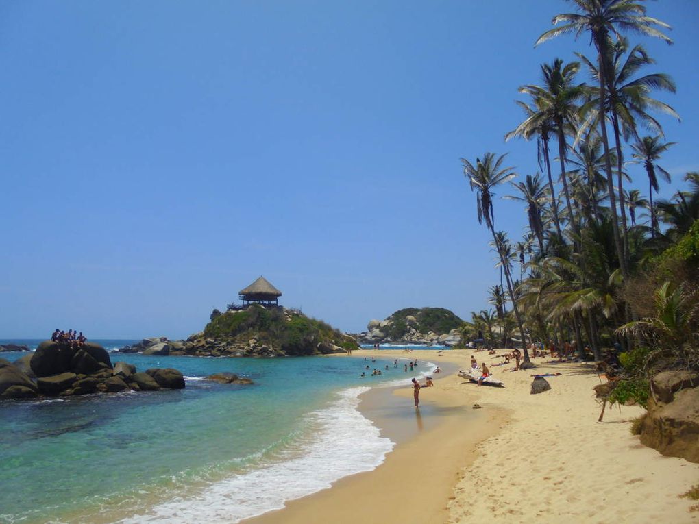 Caraïbes, plages et cocotiers