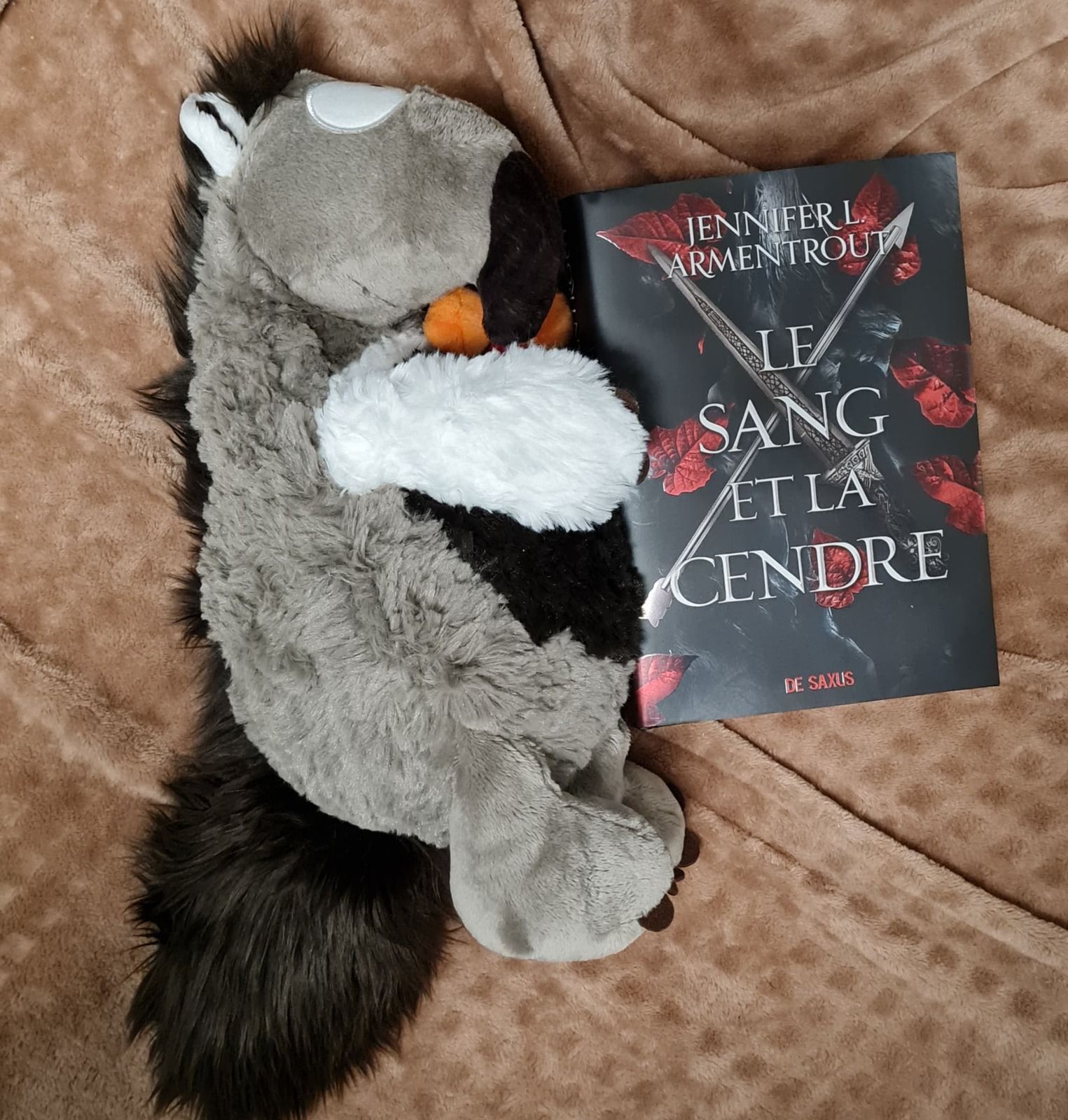 Le Sang Et La Cendre Tome 2 Sortie Francais Avis Lecgture - Le Sang et la Cendre - Jennifer L. Armentrout - Kyaraddict