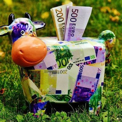 ALIMENTATION EQUILIBREE POUR PORTE-MONNAIE RAISONNABLE