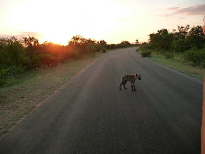 Album - Suedafrika