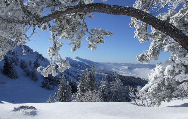  Le Vercors se prépare à l'arrivée de la neige
