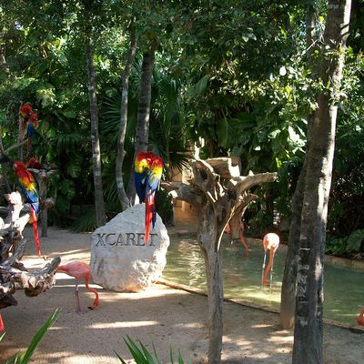 X-Caret Un parc d'attraction