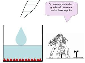 Le test ELISA