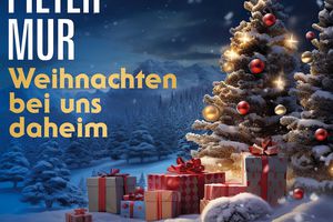 Weihnachten bei uns daheim – der neue Weihnachtsschlager von Pieter Mur 