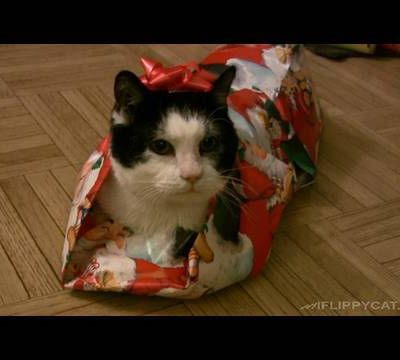 Idée de cadeau pour Noël...