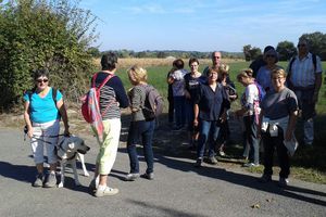 RANDO DU 9 OCTOBRE 2018 MONTREUIL AVRILLE