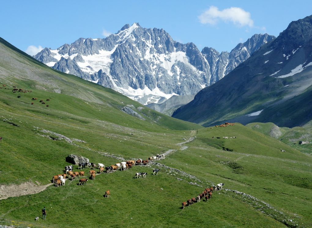 Alpinisme d'initiation en Oisans : Grande-Ruine, 3765 m 