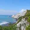 Napier / Cape Kidnappers