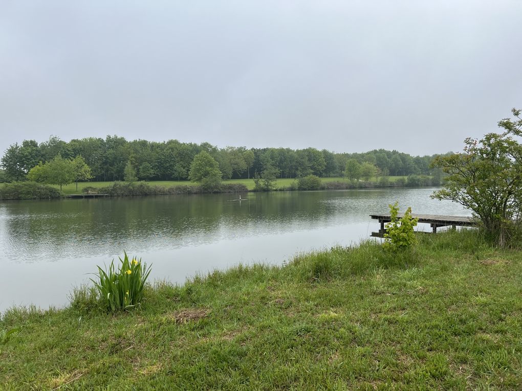 Randonnée de Bussy-Saint-Georges à Ozoir-la-Ferrière - 18 km.