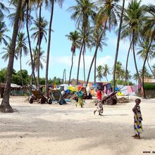 Sénégal/Ecotourisme : Niodior, une île authentique au cœur du Saloum