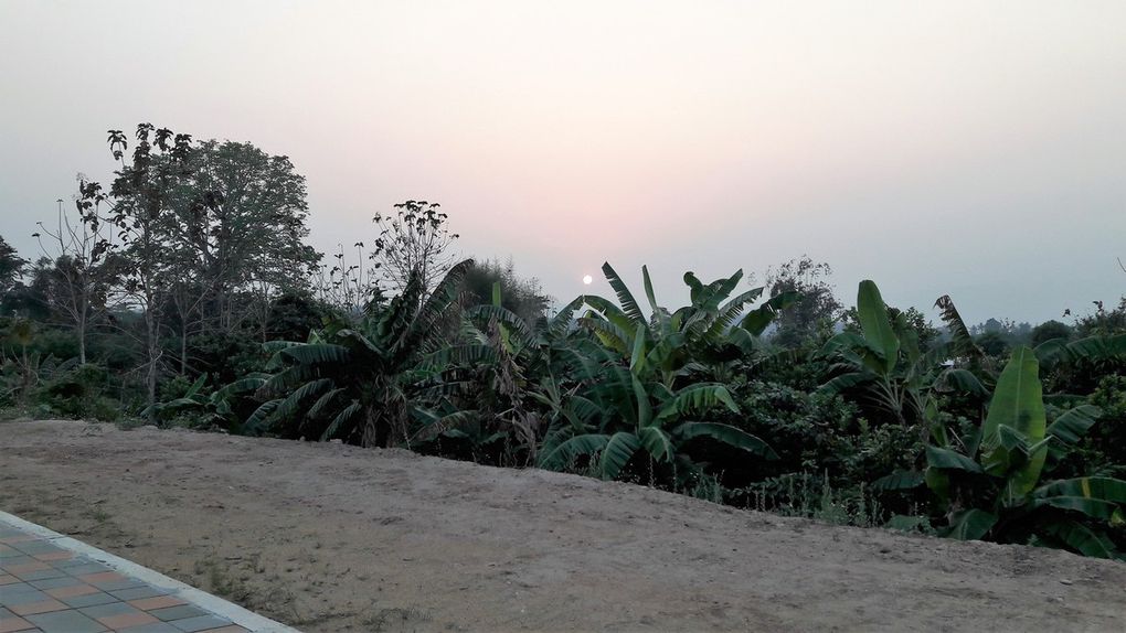 Les berges du Mekhong, près de ma Guest House