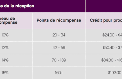 Une réception virtuelle ou l'art de se gâter à partir de chez-soi!