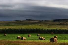 Viticulture dans le Kansas