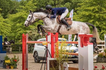 Les meilleurs amateurs à Pernay 