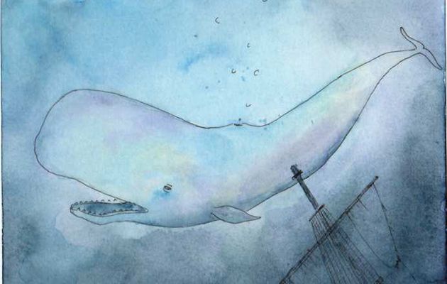 White whale lost in shipwrecks