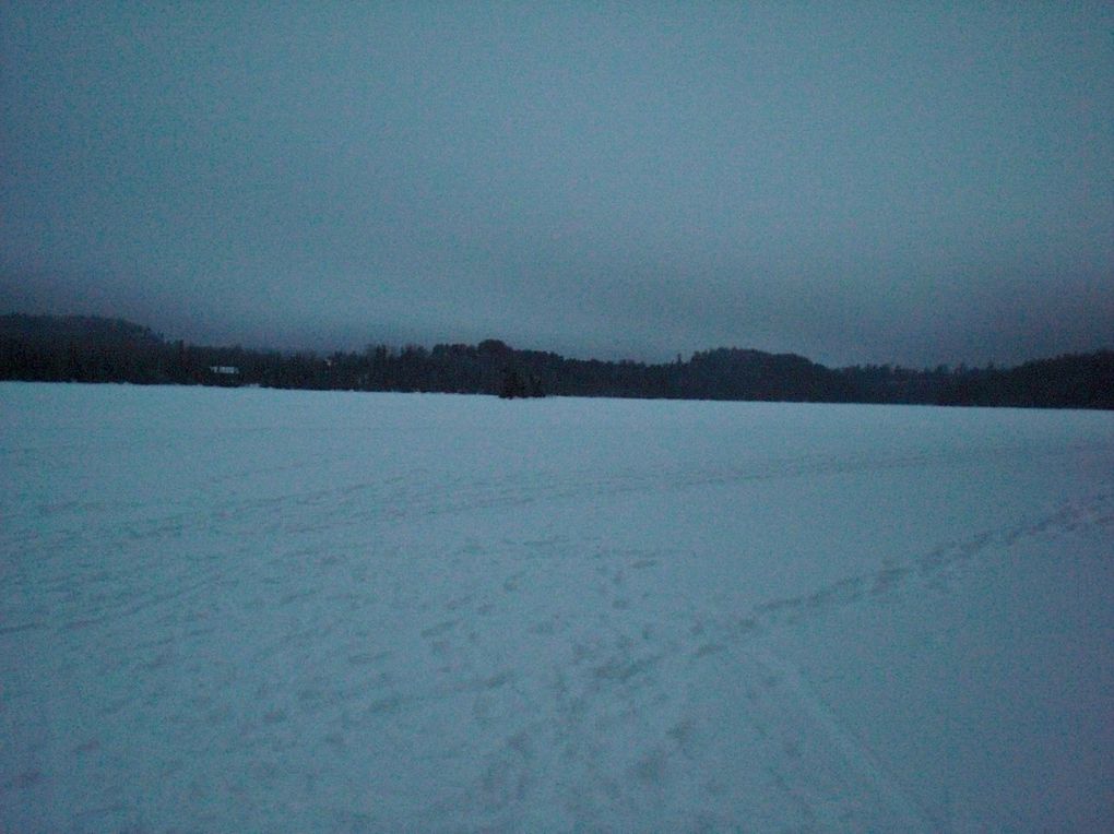 du 2 février au 5 février 2012