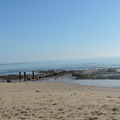 Samedi, au bord de mer !