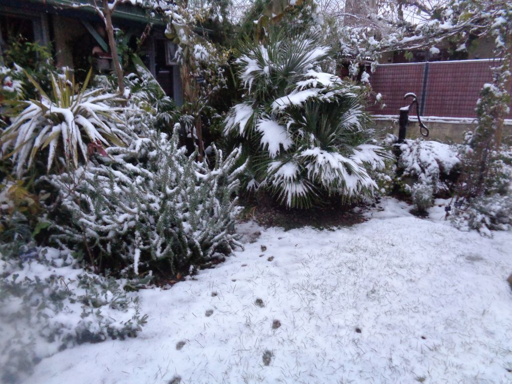 Décembre
