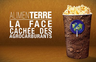 Vendredi 14 décembre 2012 - 20h / Projection du film "Agrocarburants, huile de palme" (Orléans)