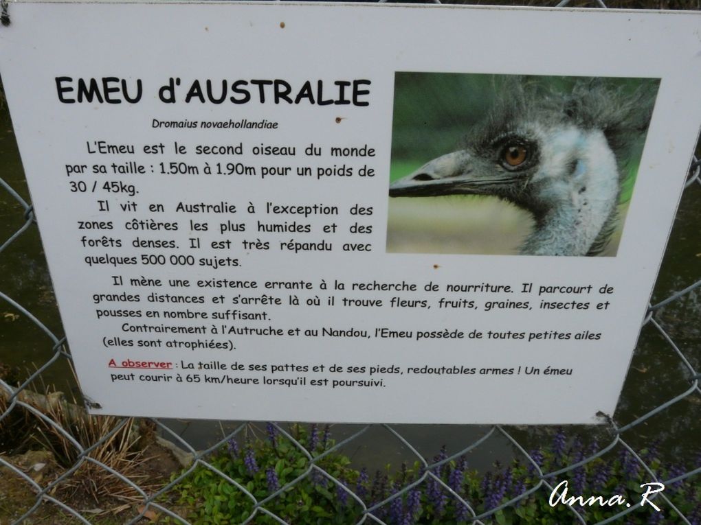 Visite du 16 avril 2011