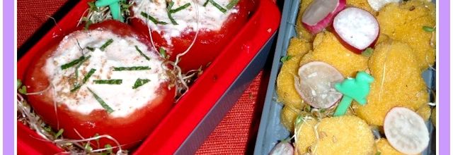 Mon premier bento