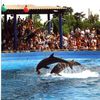 Marineland d'Antibes