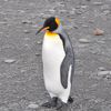 Un voyage en Antarctique