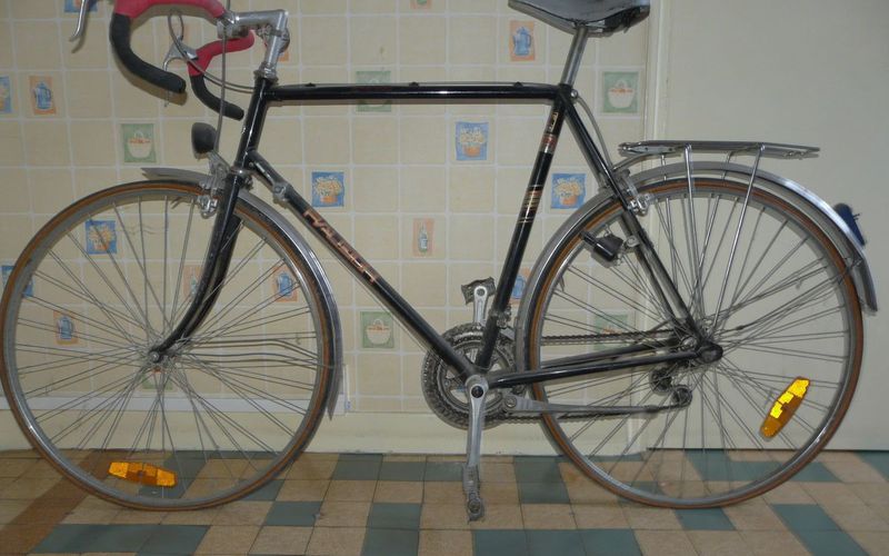 Restauration en cours : Raleigh Alpha Sport 1985