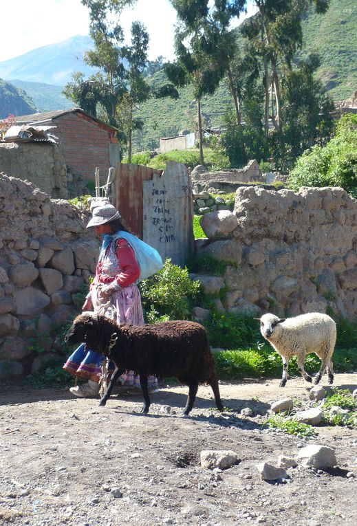 Album - arequipa