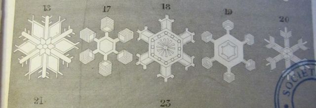 Flocon