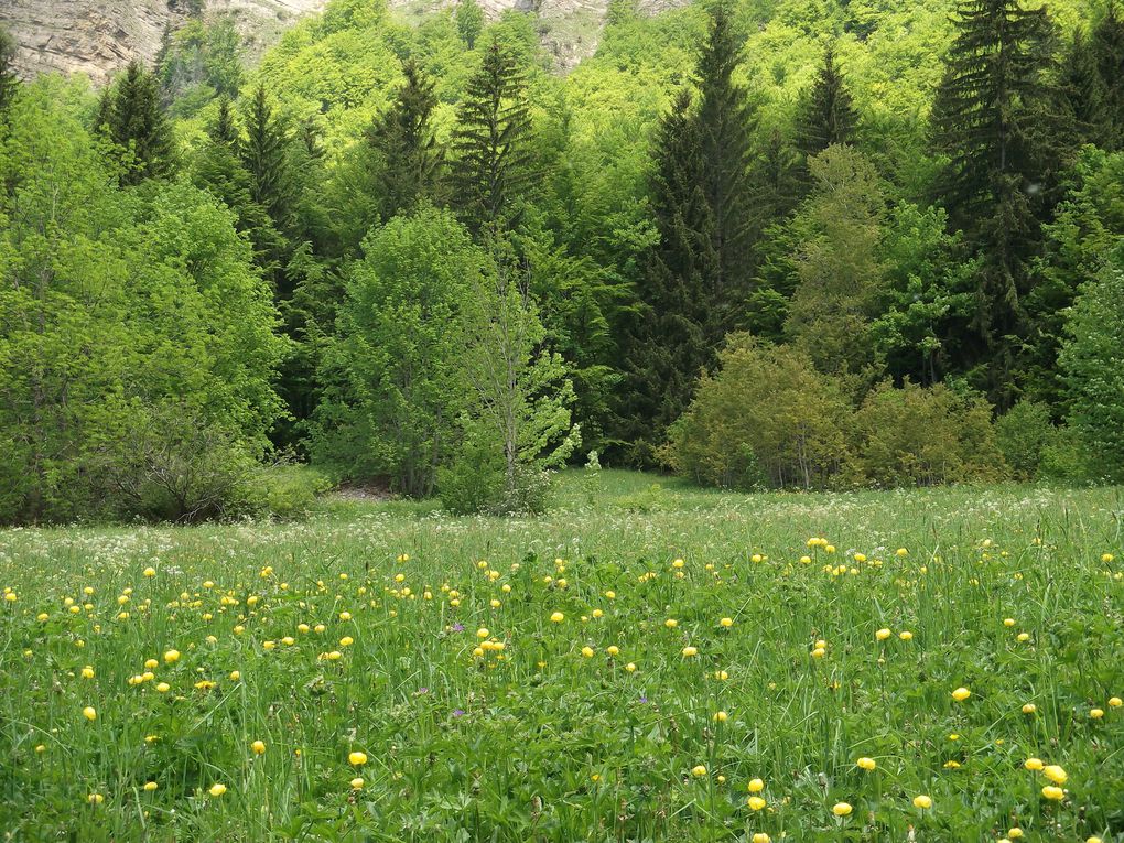 Album - le-doubs1