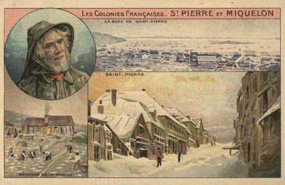 Appel à contribution: la place de Saint-Pierre et Miquelon dans l'Amérique française