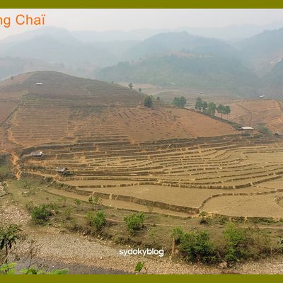 Vietnam 2023. Mu Cang Chaï. Jour 1