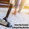 How Do Carpet Cleaning Companies Remove Pet Stains?