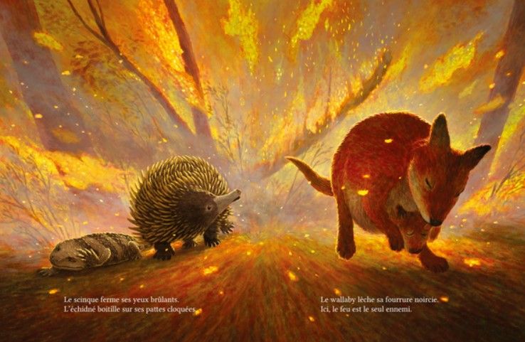 abri sous terre Sarah Thomson & Charles Santoso