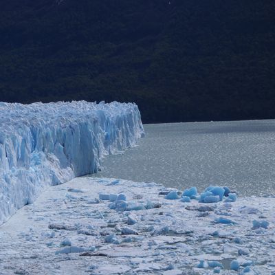 Patagonie - El Calafate - Glacier Périto Moreno