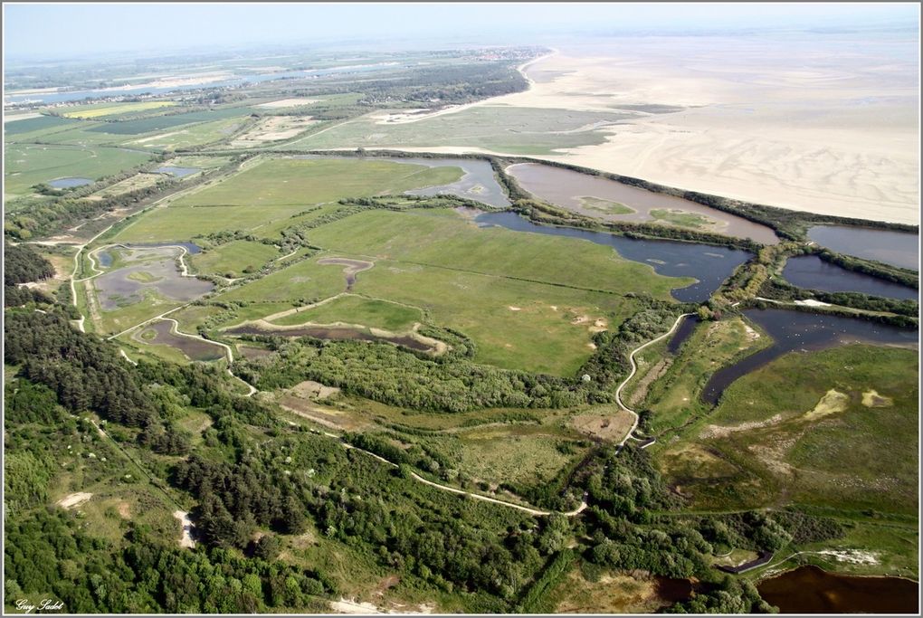 Album - Côe-Picarde-et-baie de Somme