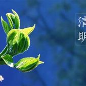 清明  Pure clarté  Qing Ming  