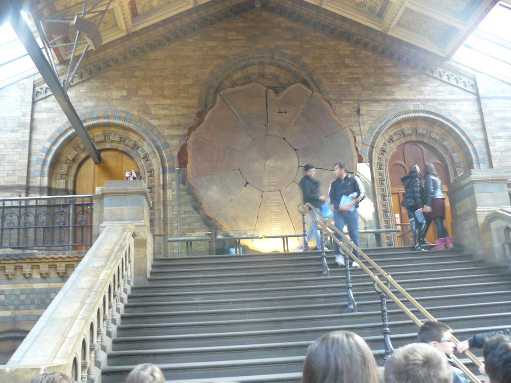 Album - Natural History Museum 2012