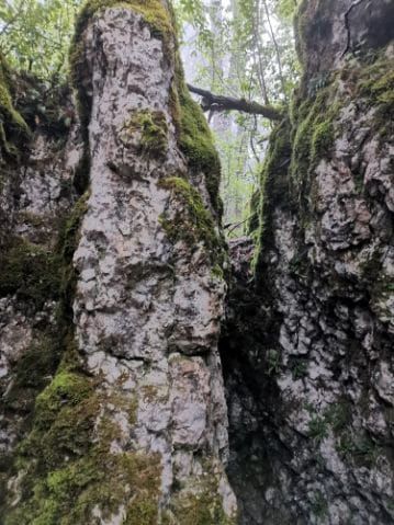 Chapelle d'émeraude, le sanctuaire secret de la Chartreuse