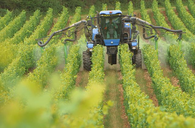« Pesticides, la plaie des champs », documentaire suivi d'un débat ce mardi soir sur France 5.