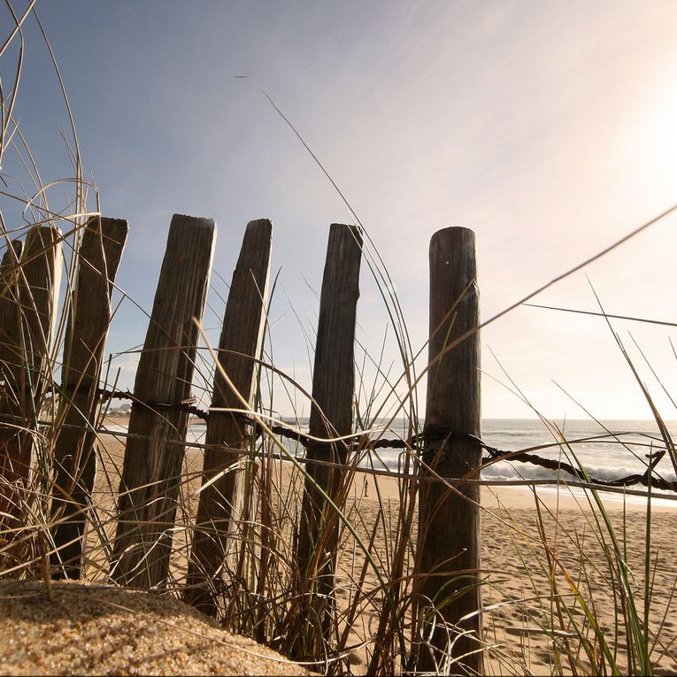 Album - Dunes et Plages