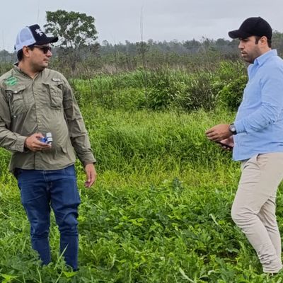 Diez mandamientos tecnológicos para la producción agrícola recomiendan agrónomos