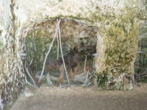 Saint Gorges-de-Didonne jour 6
