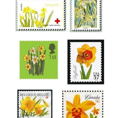 Narcisses et jonquilles