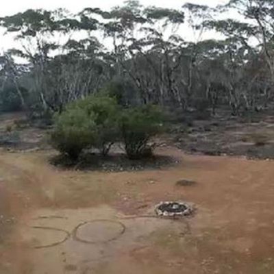 Une Australienne perdue depuis trois jours dans le bush a été retrouvée grâce à un "SOS" écrit en grattant le sol