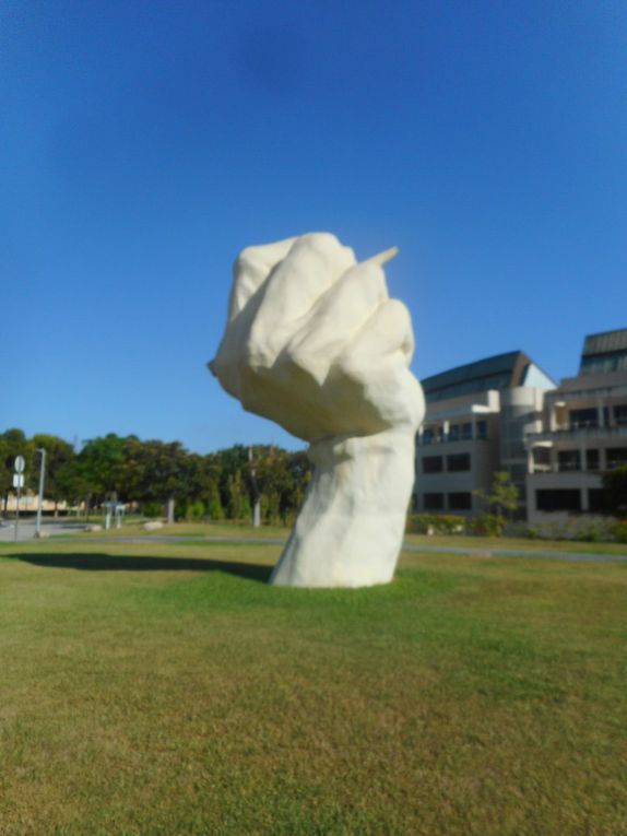 L'université d'Alicante.