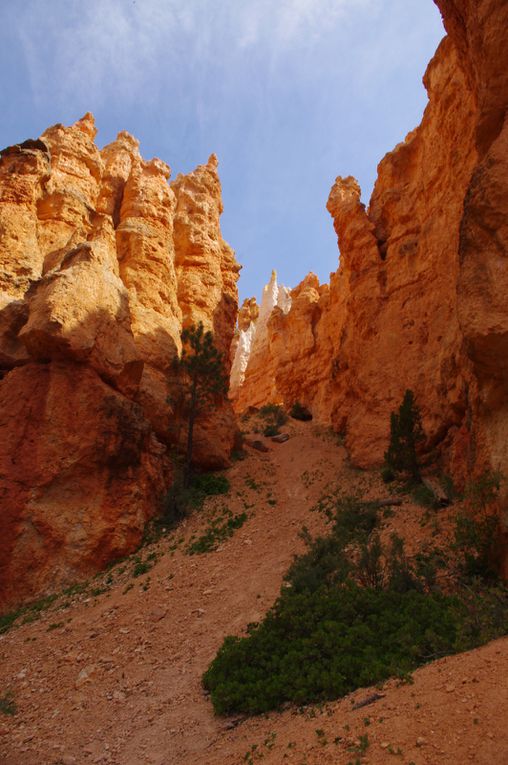 USA Road Trip - Jour 18/25 - Bryce Canyon National Park - Zion National Park